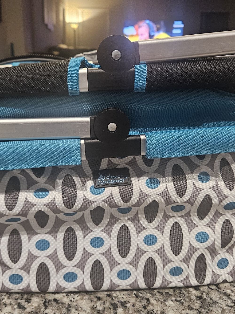 Teal & Gray Patterned Storage Organizer